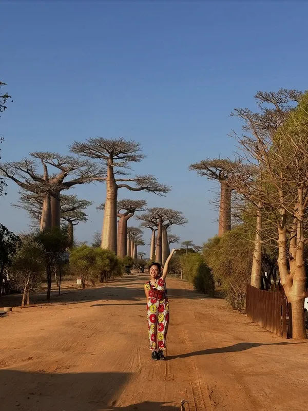 Avenue of the Baobabs visitor photo 3