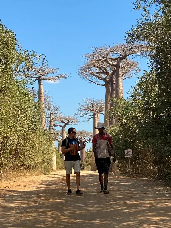 Avenue of the Baobabs visitor photo 4