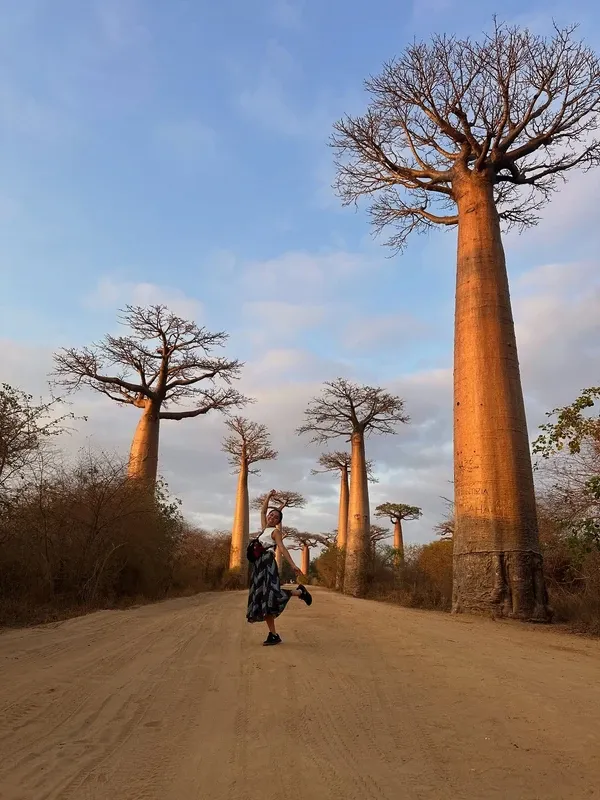 Avenue of the Baobabs visitor photo 6